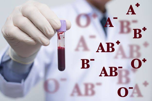 Understanding Your Blood Test Results: A Plain Language Guide